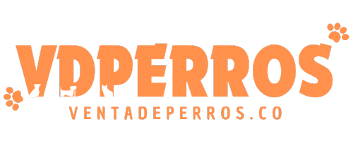 VDPERROS - Venta de perros de raza en Colombia